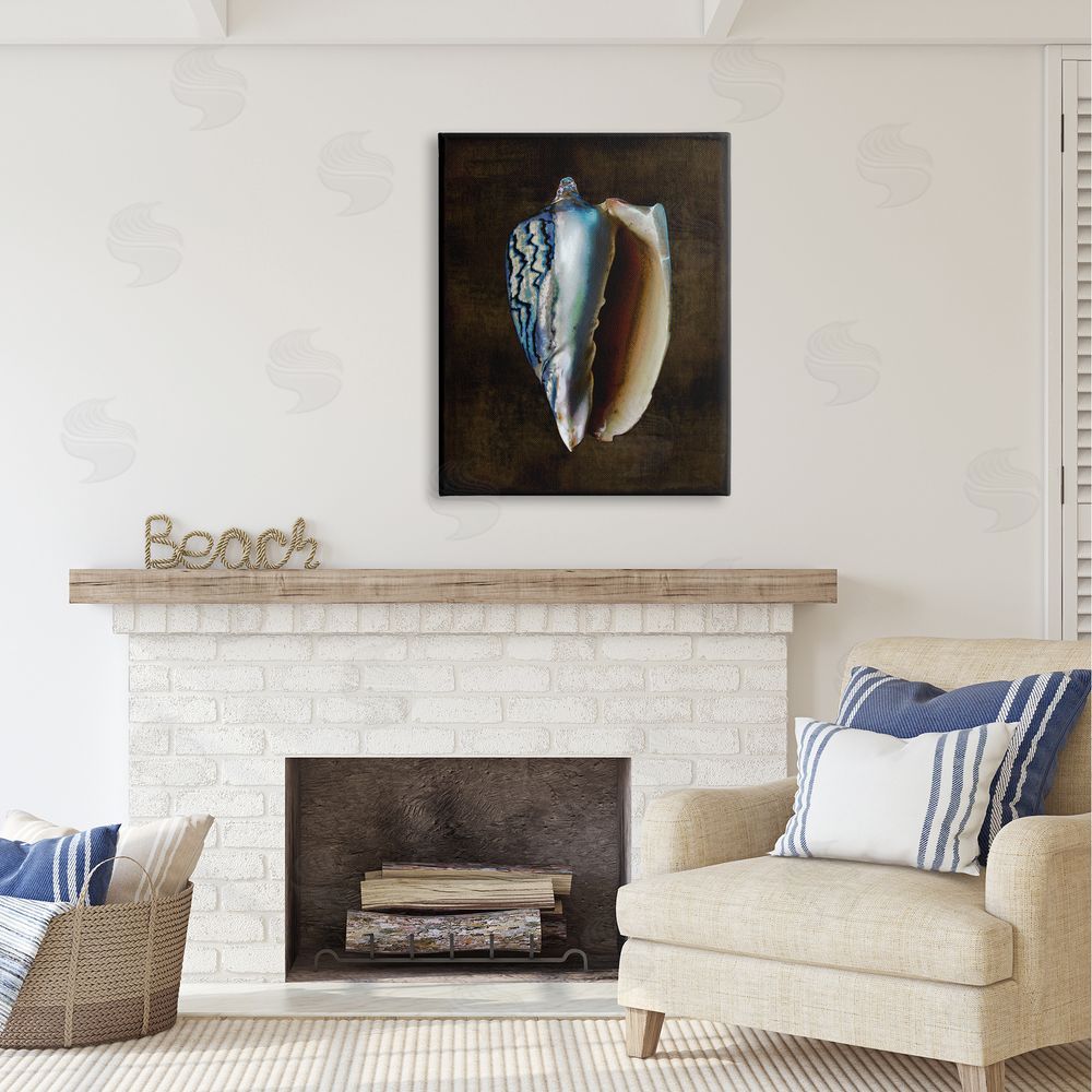 Caroline Kelly Dark Conch Shell Canvas Wall Art Print in Room