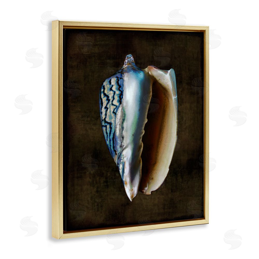 Caroline Kelly Dark Conch Shell Gold Floating Frame Canvas Wall Art Print