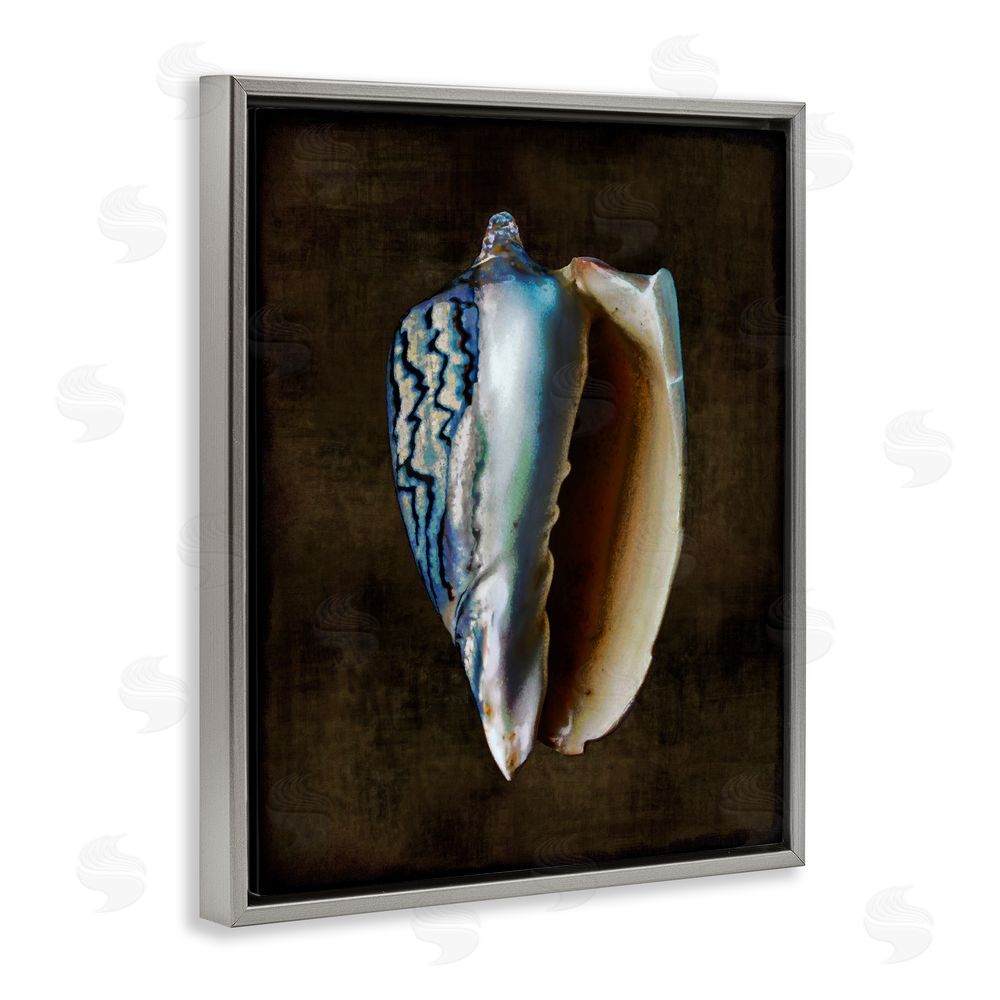 Caroline Kelly Dark Conch Shell Grey Floating Frame Canvas Wall Art Print
