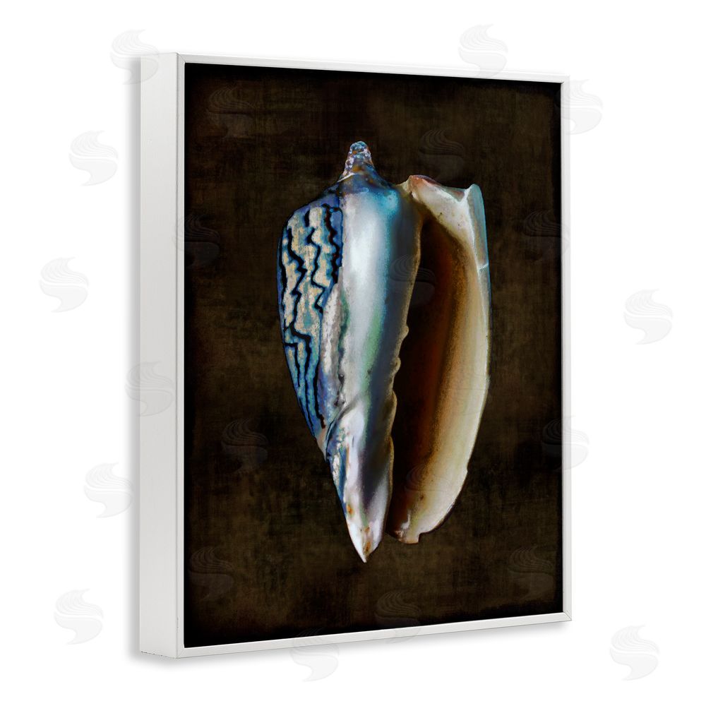 Caroline Kelly Dark Conch Shell White Framed Giclee Wall Art Print