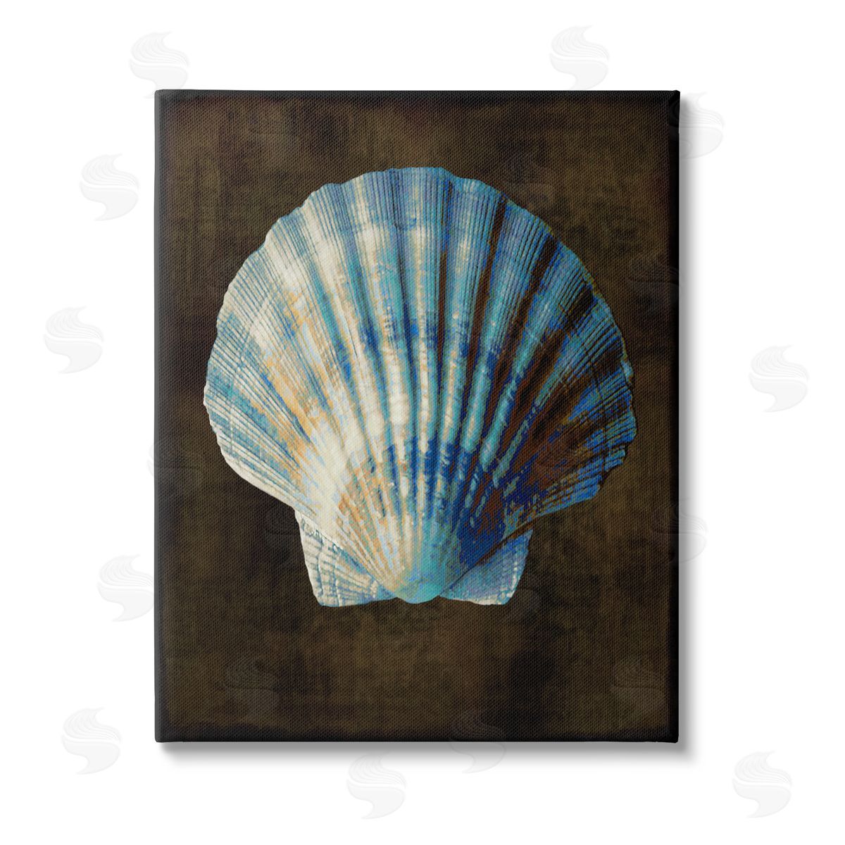 Caroline Kelly Dark Clam Shell Stretched Canvas Wall Art Print