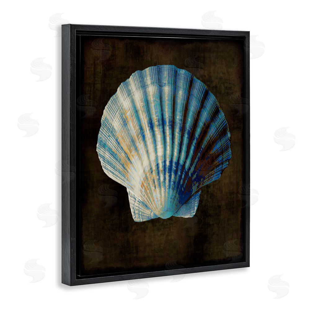 Caroline Kelly Dark Clam Shell Black Floating Frame Canvas Wall Art Print
