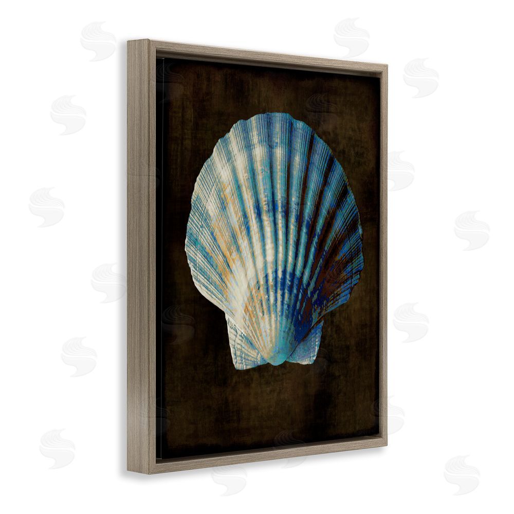 Caroline Kelly Dark Clam Shell Brown Floating Frame Canvas Wall Art Print