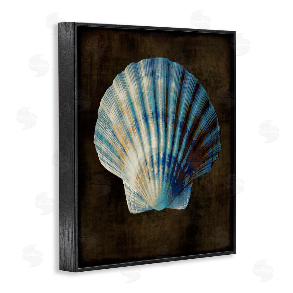 Caroline Kelly Dark Clam Shell Black Framed Giclee Wall Art Print