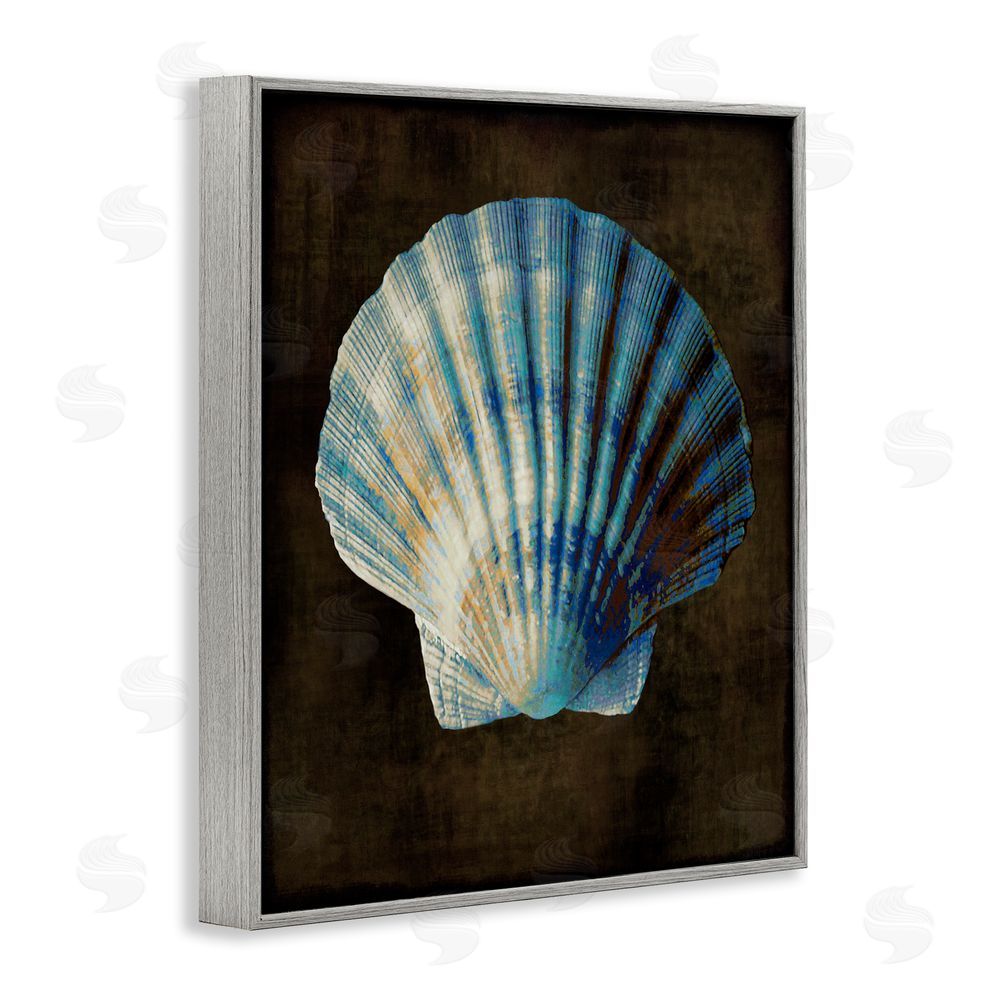 Caroline Kelly Dark Clam Shell Gray Framed Giclee Wall Art Print