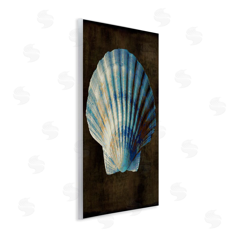 Caroline Kelly Dark Clam Shell Wall Plaque Art Print