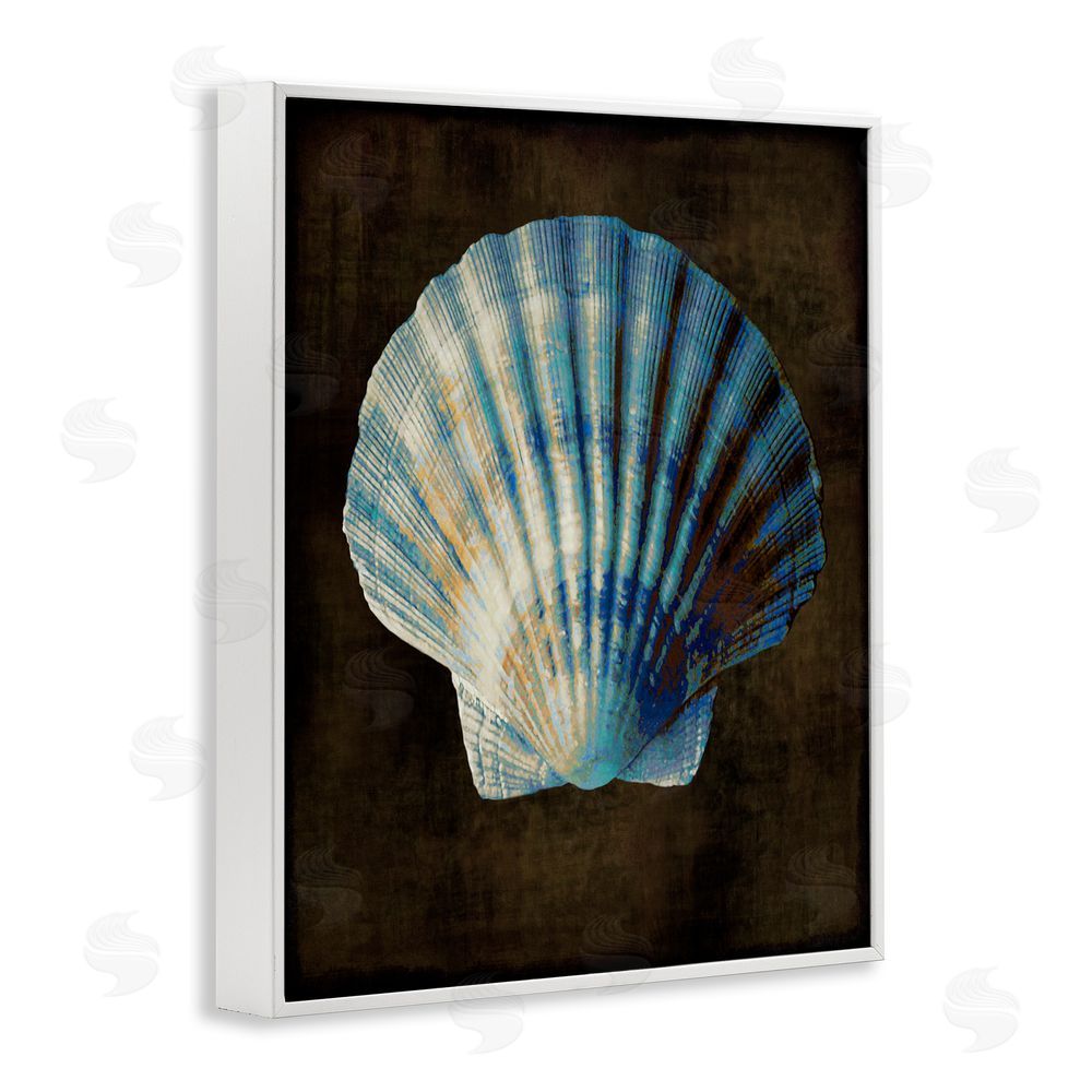Caroline Kelly Dark Clam Shell White Framed Giclee Wall Art Print