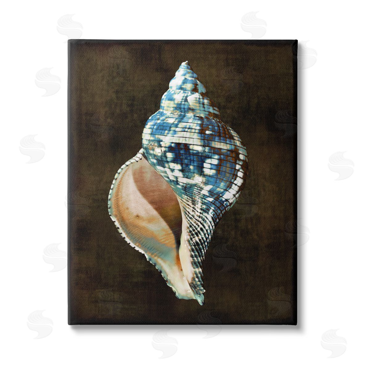 Caroline Kelly Dark Patterned Conch Shell Stretched Canvas Wall Art Print