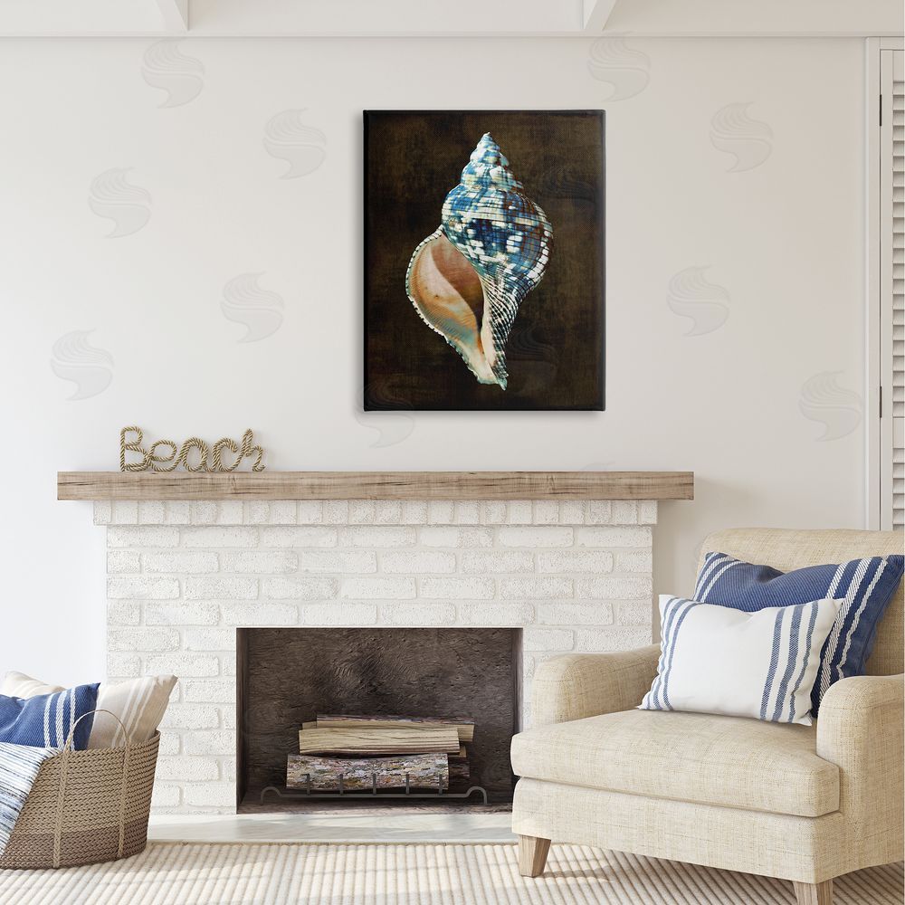 Caroline Kelly Dark Patterned Conch Shell Canvas Wall Art Print in Room