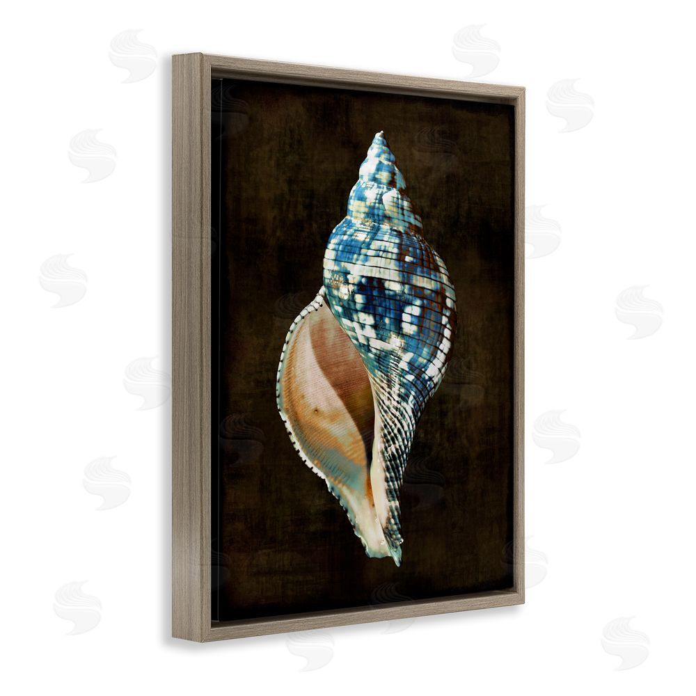 Caroline Kelly Dark Patterned Conch Shell Brown Floating Frame Canvas Wall Art Print