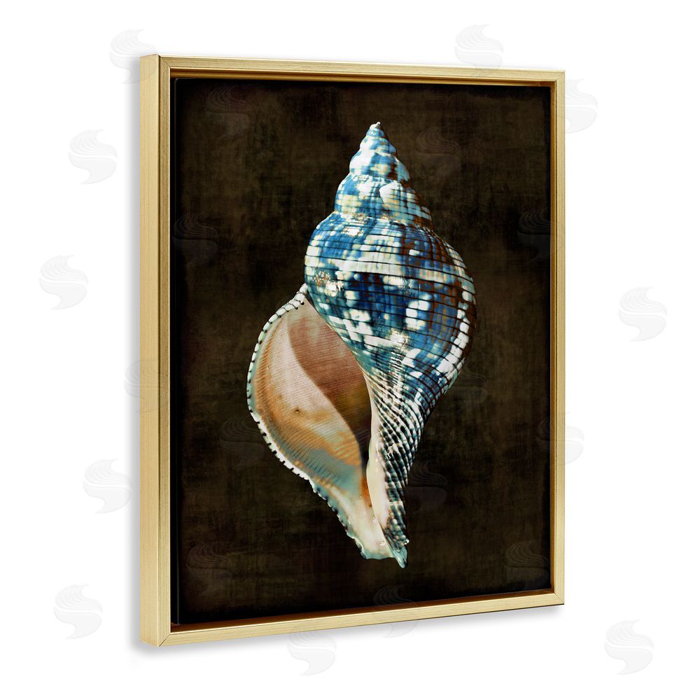 Caroline Kelly Dark Patterned Conch Shell Gold Floating Frame Canvas Wall Art Print