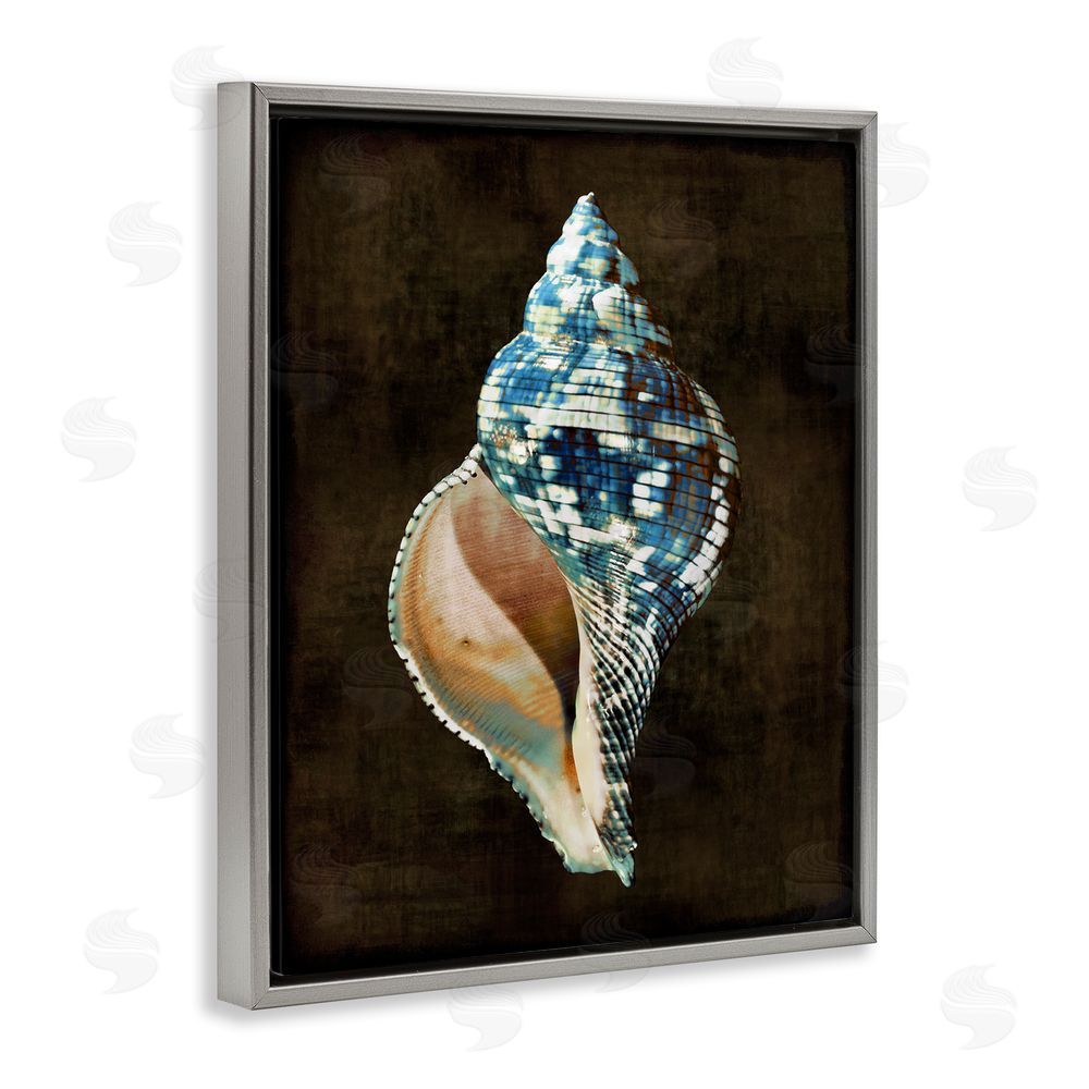 Caroline Kelly Dark Patterned Conch Shell Grey Floating Frame Canvas Wall Art Print
