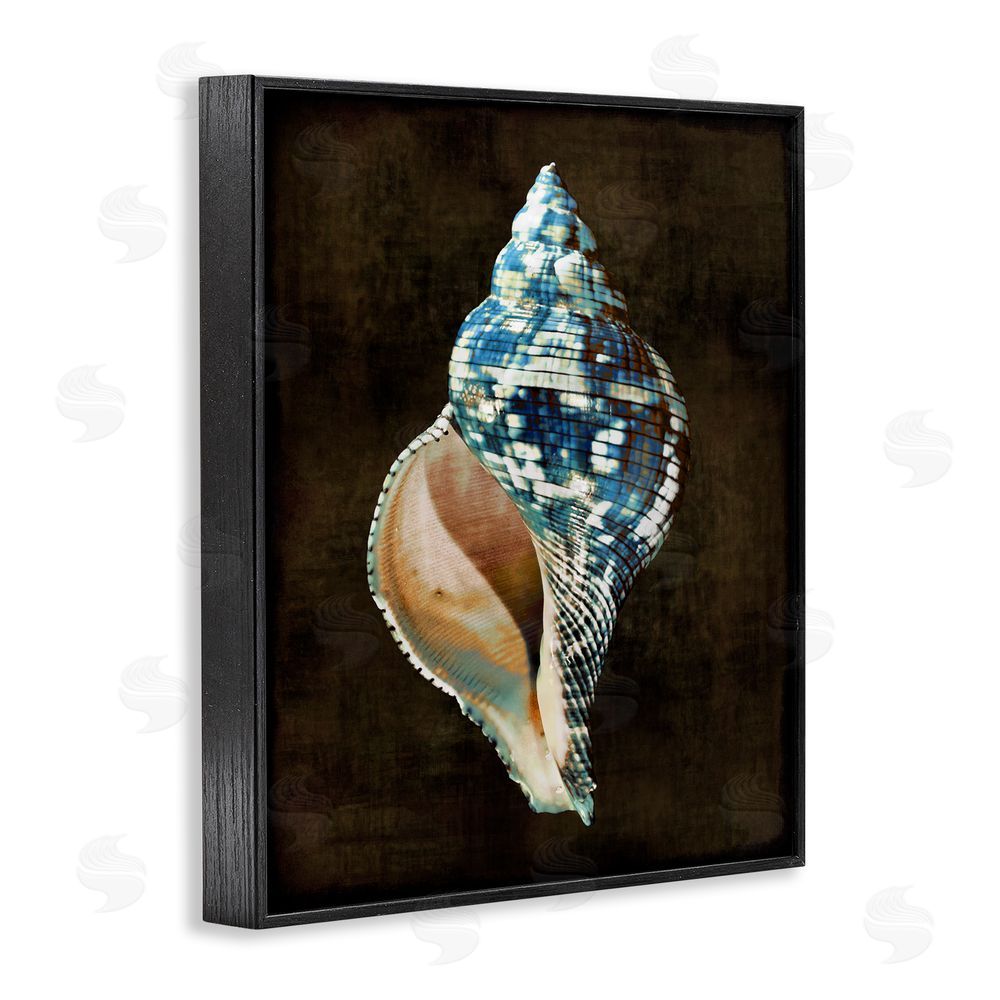 Caroline Kelly Dark Patterned Conch Shell Black Framed Giclee Wall Art Print