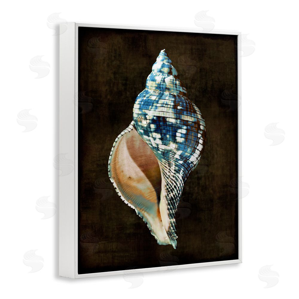 Caroline Kelly Dark Patterned Conch Shell White Framed Giclee Wall Art Print