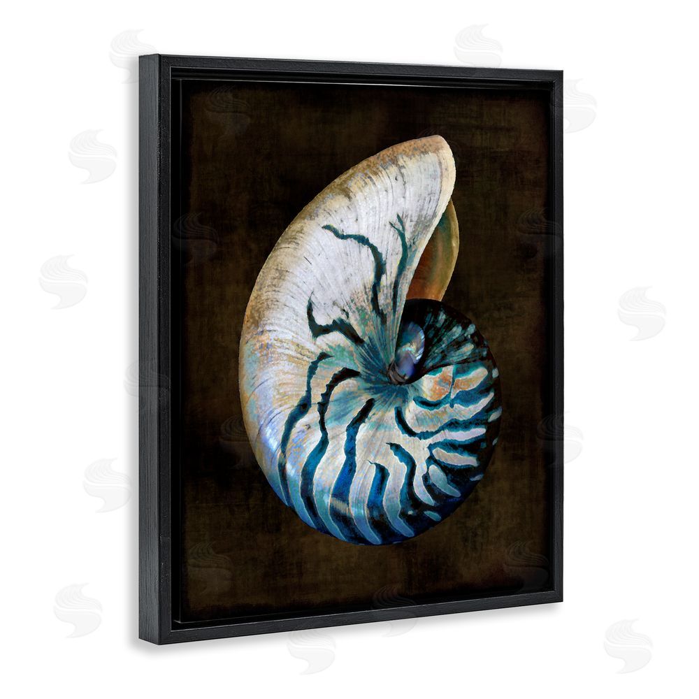 Caroline Kelly Dark Nautilus Shell Black Floating Frame Canvas Wall Art Print