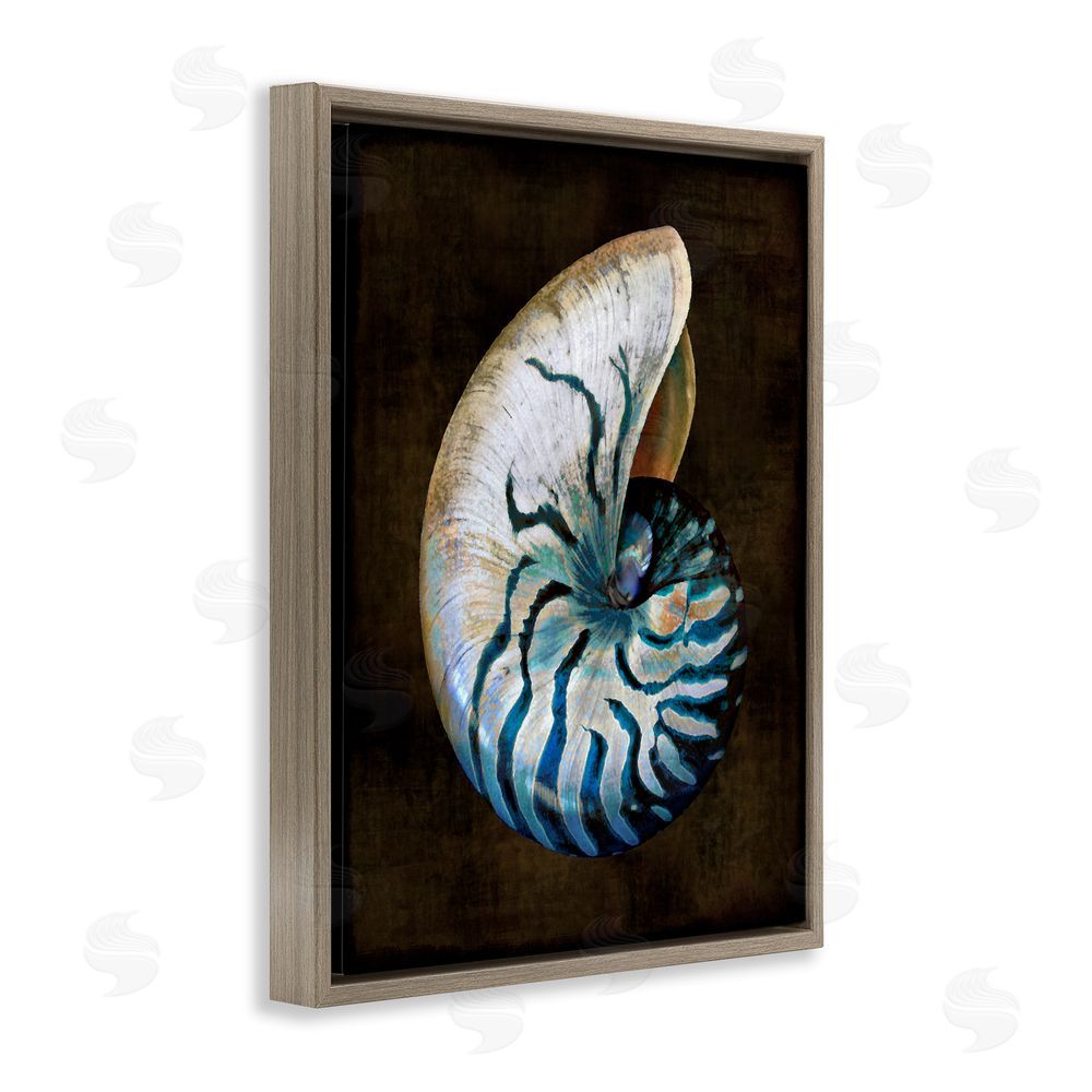 Caroline Kelly Dark Nautilus Shell Brown Floating Frame Canvas Wall Art Print