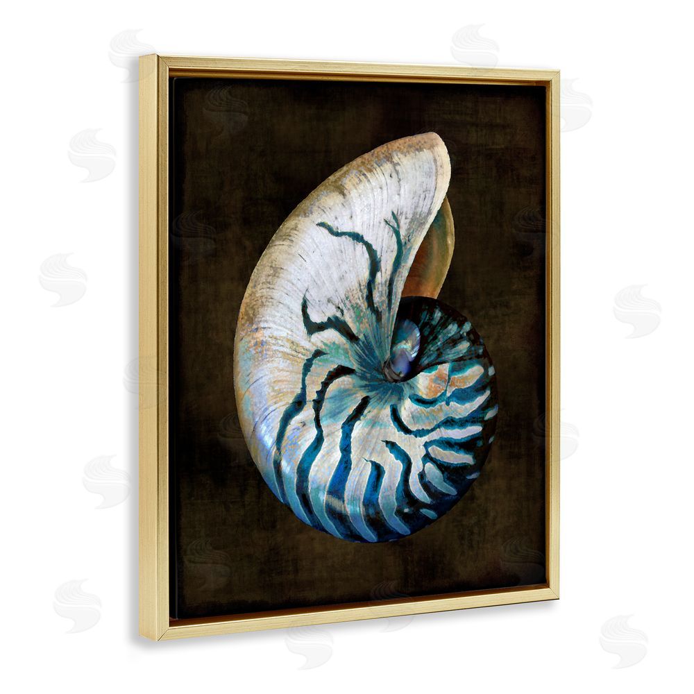 Caroline Kelly Dark Nautilus Shell Gold Floating Frame Canvas Wall Art Print