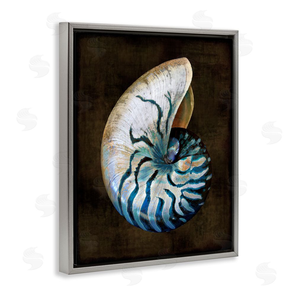 Caroline Kelly Dark Nautilus Shell Grey Floating Frame Canvas Wall Art Print