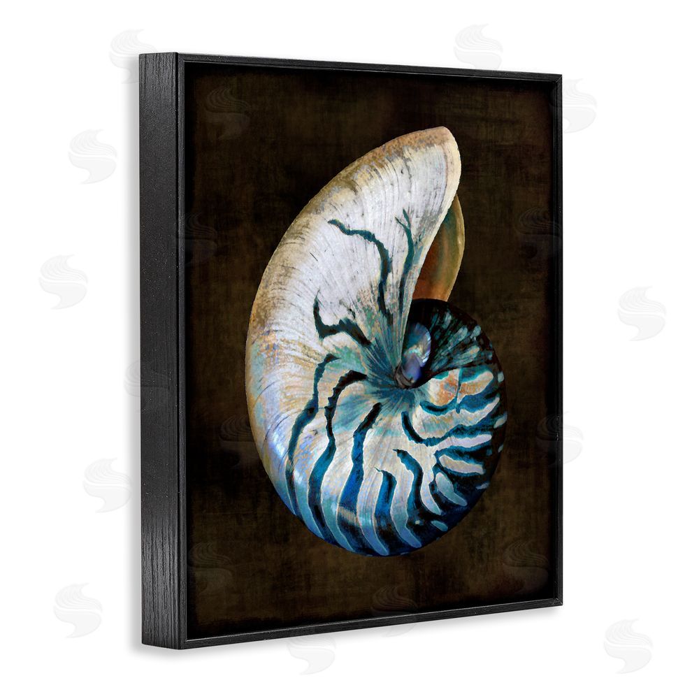 Caroline Kelly Dark Nautilus Shell Black Framed Giclee Wall Art Print