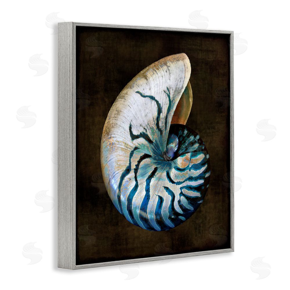 Caroline Kelly Dark Nautilus Shell Gray Framed Giclee Wall Art Print