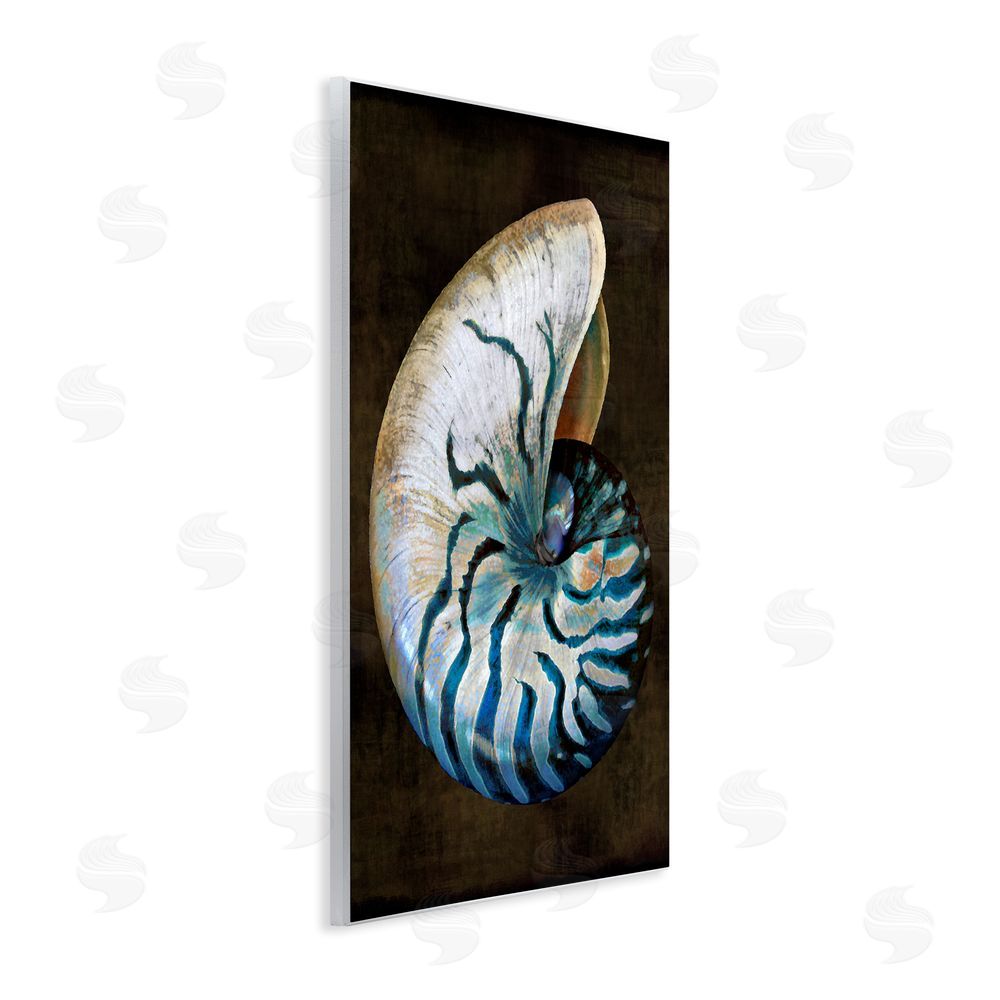 Caroline Kelly Dark Nautilus Shell Wall Plaque Art Print