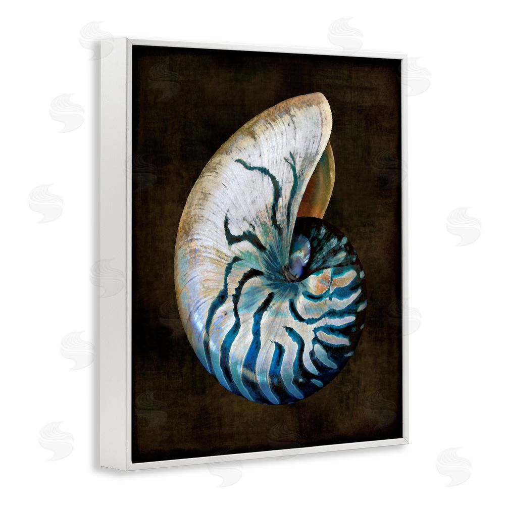 Caroline Kelly Dark Nautilus Shell White Framed Giclee Wall Art Print