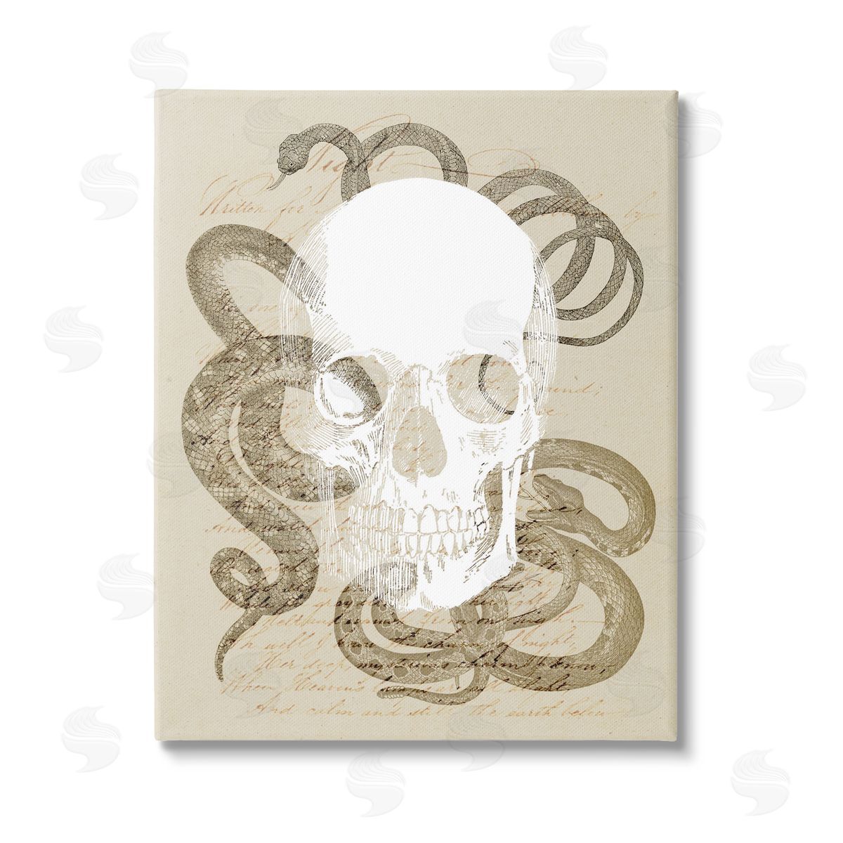 Stupell Studio Skull & Snake Vintage Script Stretched Canvas Wall Art Print