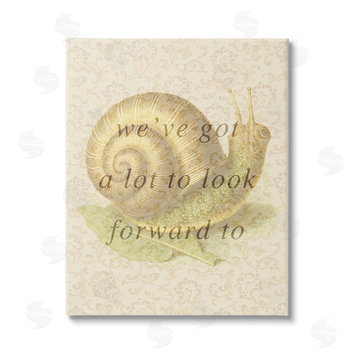Stupell Studio Vintage Uplifting Snail Stretched Canvas Wall Art Print