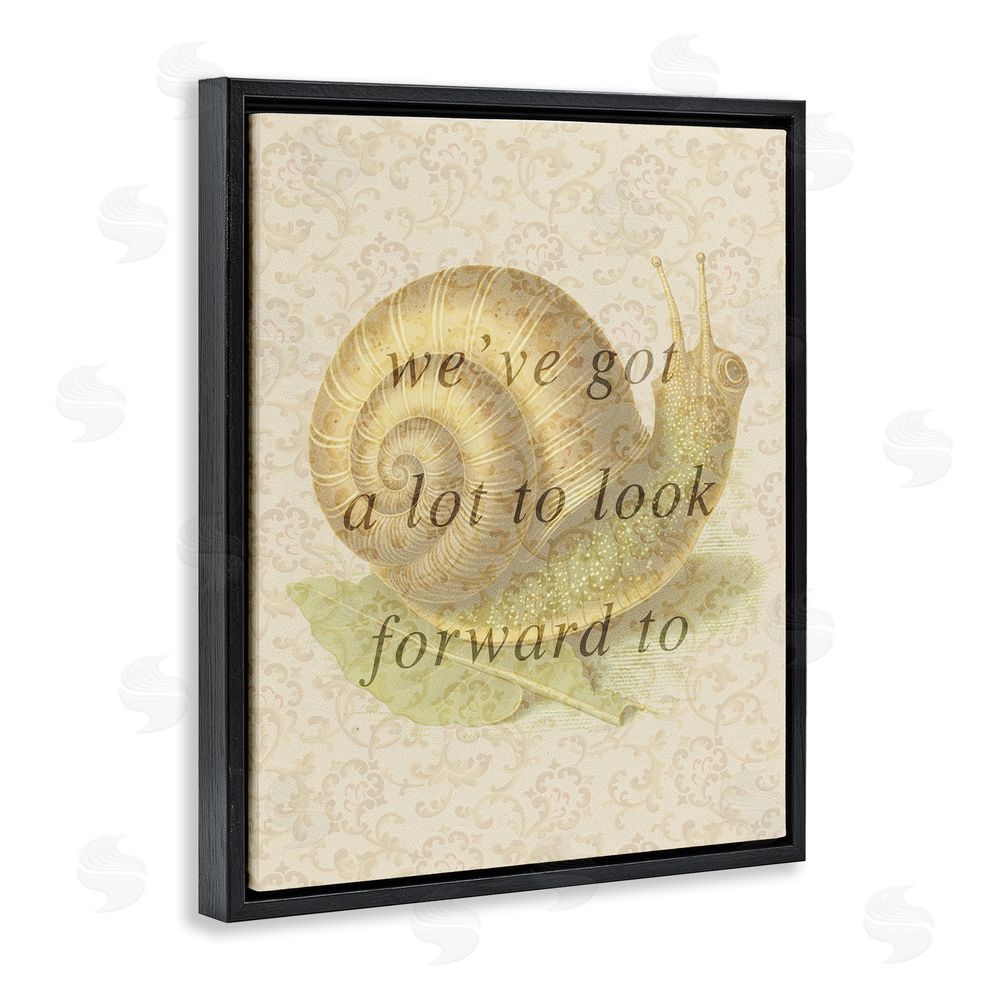 Stupell Studio Vintage Uplifting Snail Black Floating Frame Canvas Wall Art Print