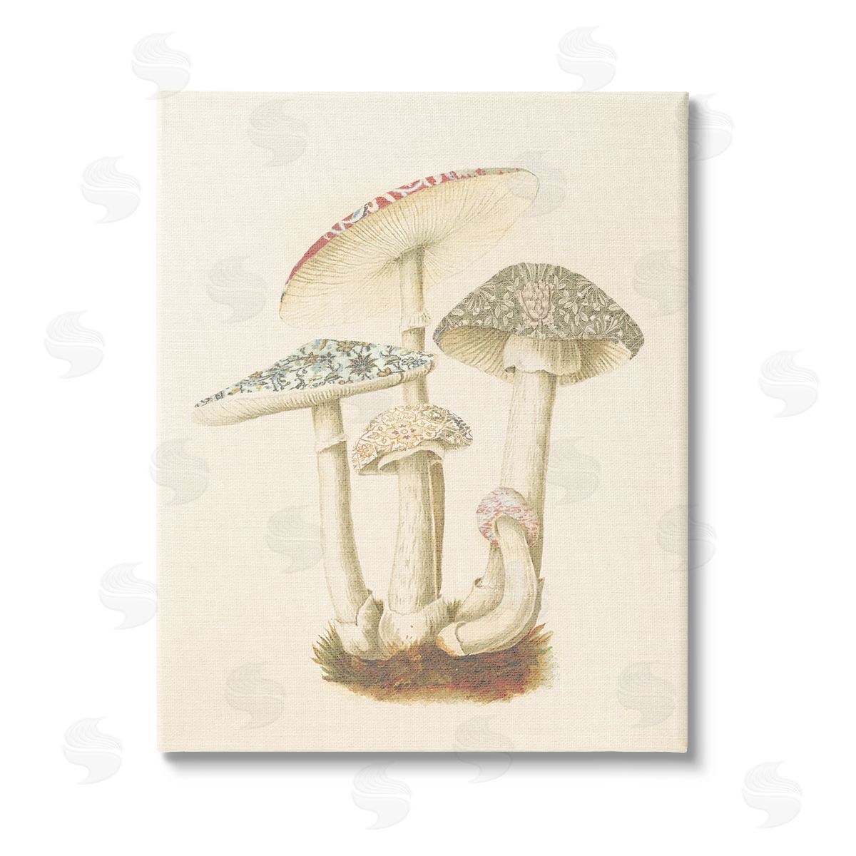 Stupell Studio Vintage Mushroom Study Stretched Canvas Wall Art Print
