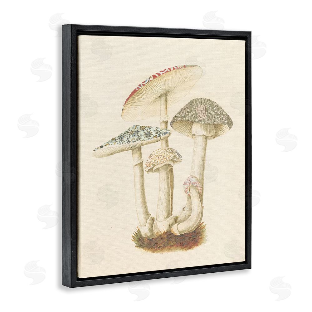 Stupell Studio Vintage Mushroom Study Black Floating Frame Canvas Wall Art Print