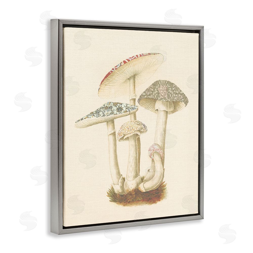 Stupell Studio Vintage Mushroom Study Grey Floating Frame Canvas Wall Art Print
