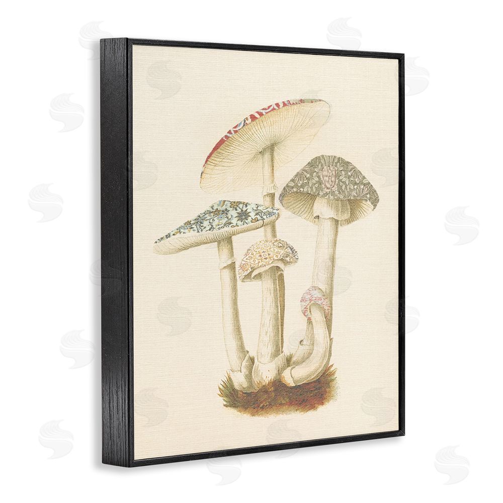 Stupell Studio Vintage Mushroom Study Black Framed Giclee Wall Art Print