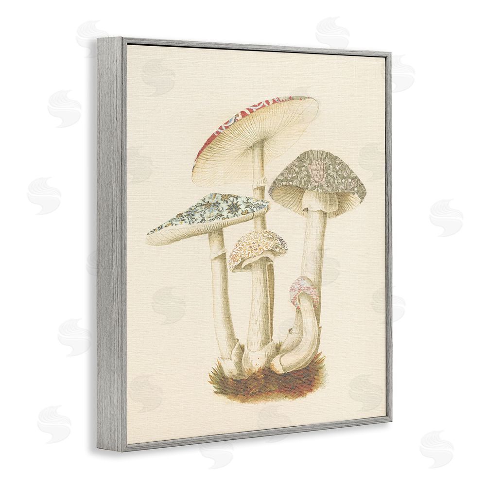 Stupell Studio Vintage Mushroom Study Gray Framed Giclee Wall Art Print