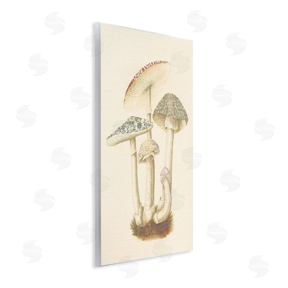 Stupell Studio Vintage Mushroom Study Wall Plaque Art Print