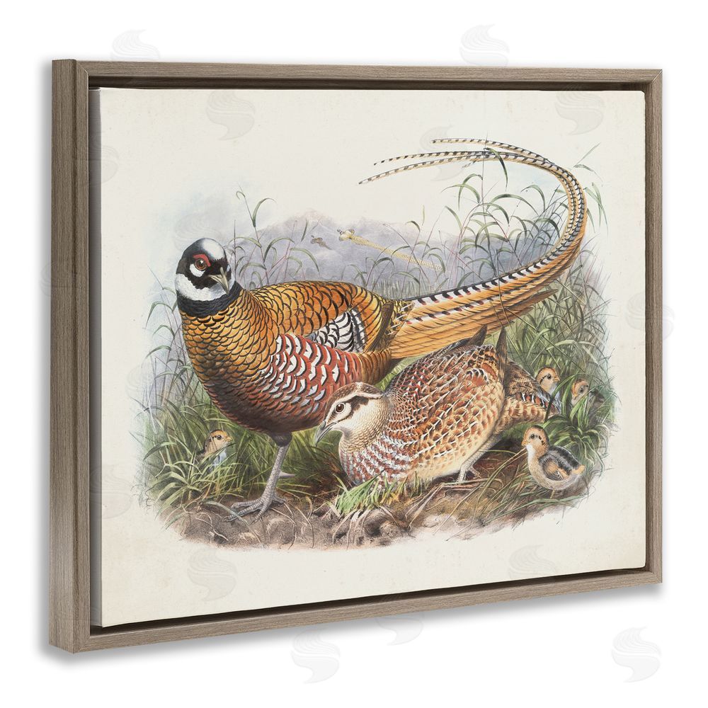 Wild Apple Portfolio Pheasant Family in Nature Brown Floating Frame Canvas Wall Art Print