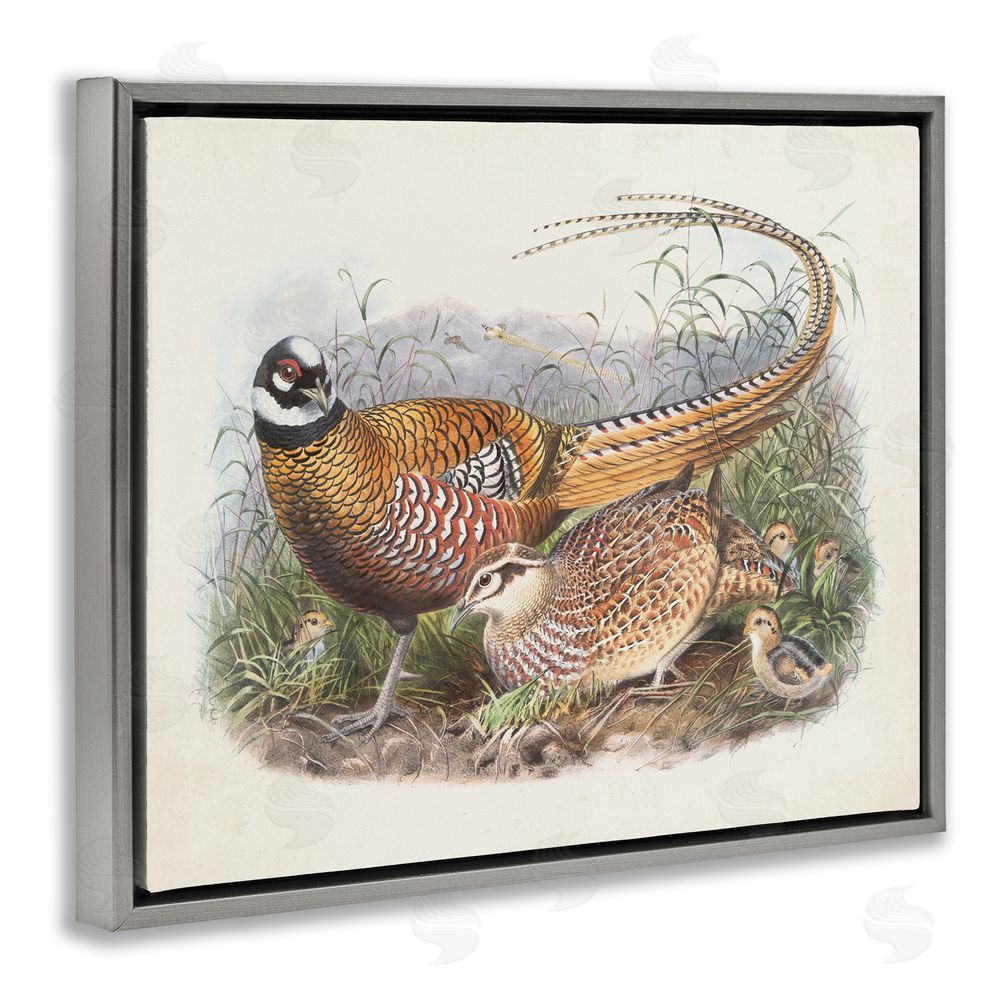 Wild Apple Portfolio Pheasant Family in Nature Grey Floating Frame Canvas Wall Art Print
