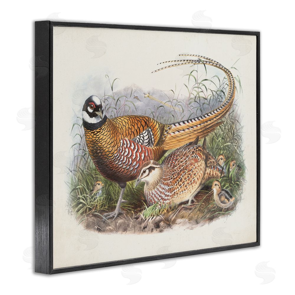 Wild Apple Portfolio Pheasant Family in Nature Black Framed Giclee Wall Art Print
