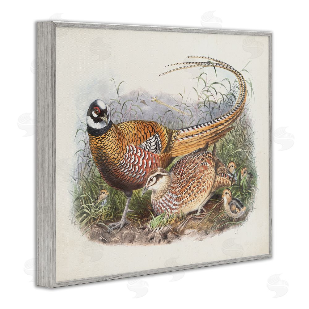 Wild Apple Portfolio Pheasant Family in Nature Gray Framed Giclee Wall Art Print