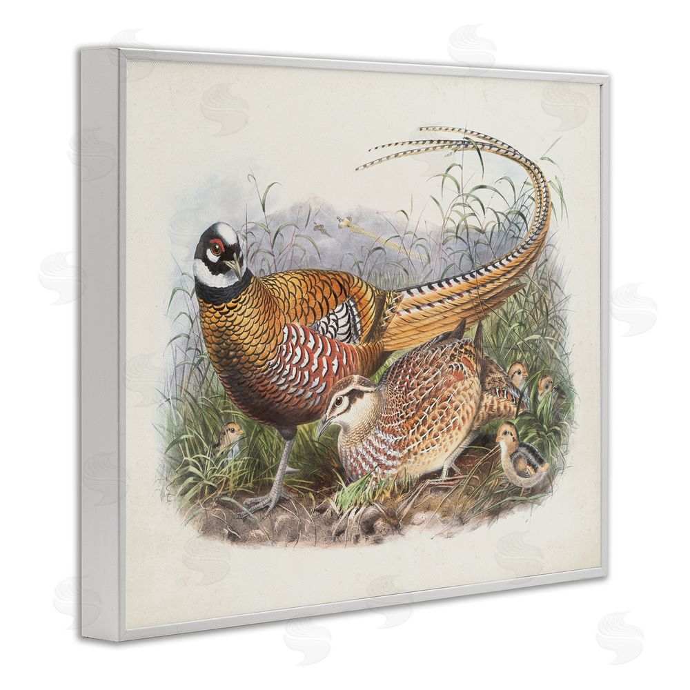 Wild Apple Portfolio Pheasant Family in Nature White Framed Giclee Wall Art Print