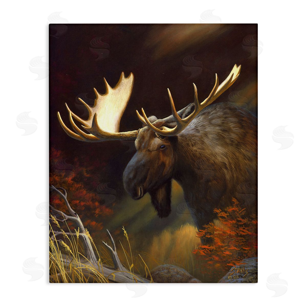 Leo Stans Woodland Moose Portrait Stretched Canvas Wall Art Print