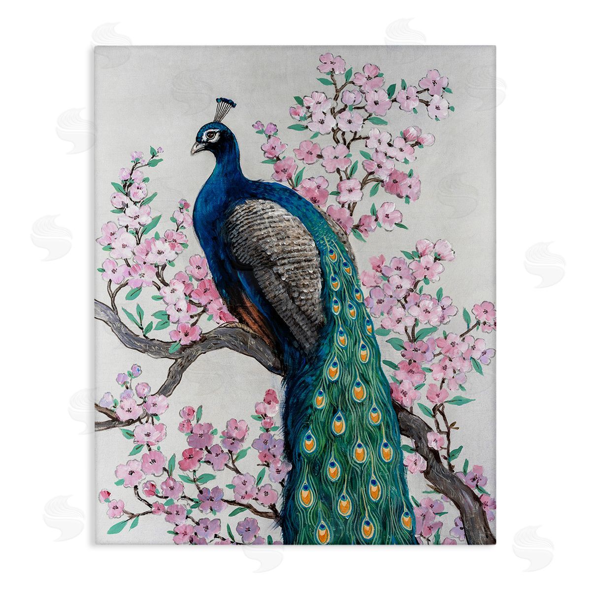 Tim O'Toole Peacock & Cherry Blossoms Stretched Canvas Wall Art Print