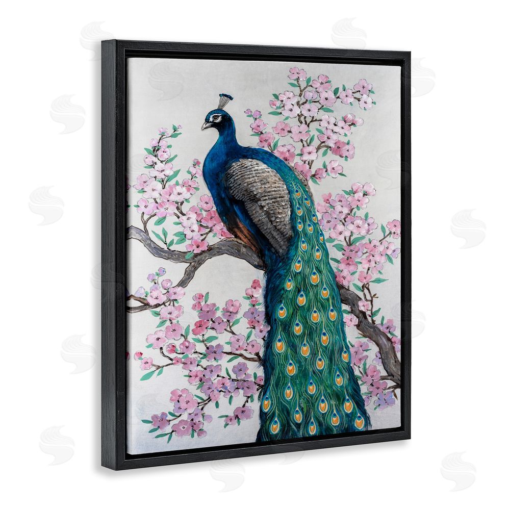Tim O'Toole Peacock & Cherry Blossoms Black Floating Frame Canvas Wall Art Print