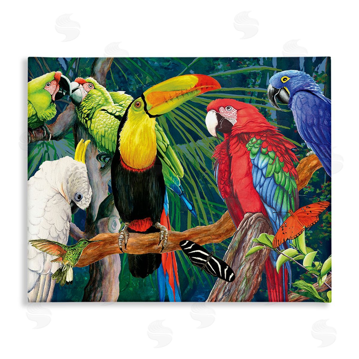 Christine Reichow Tropical Rainforest Birds