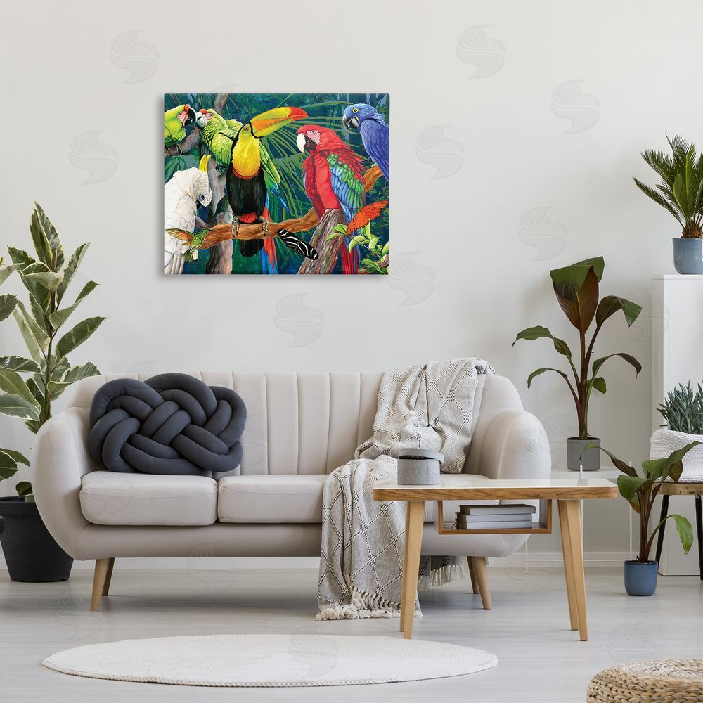 Christine Reichow Tropical Rainforest Birds