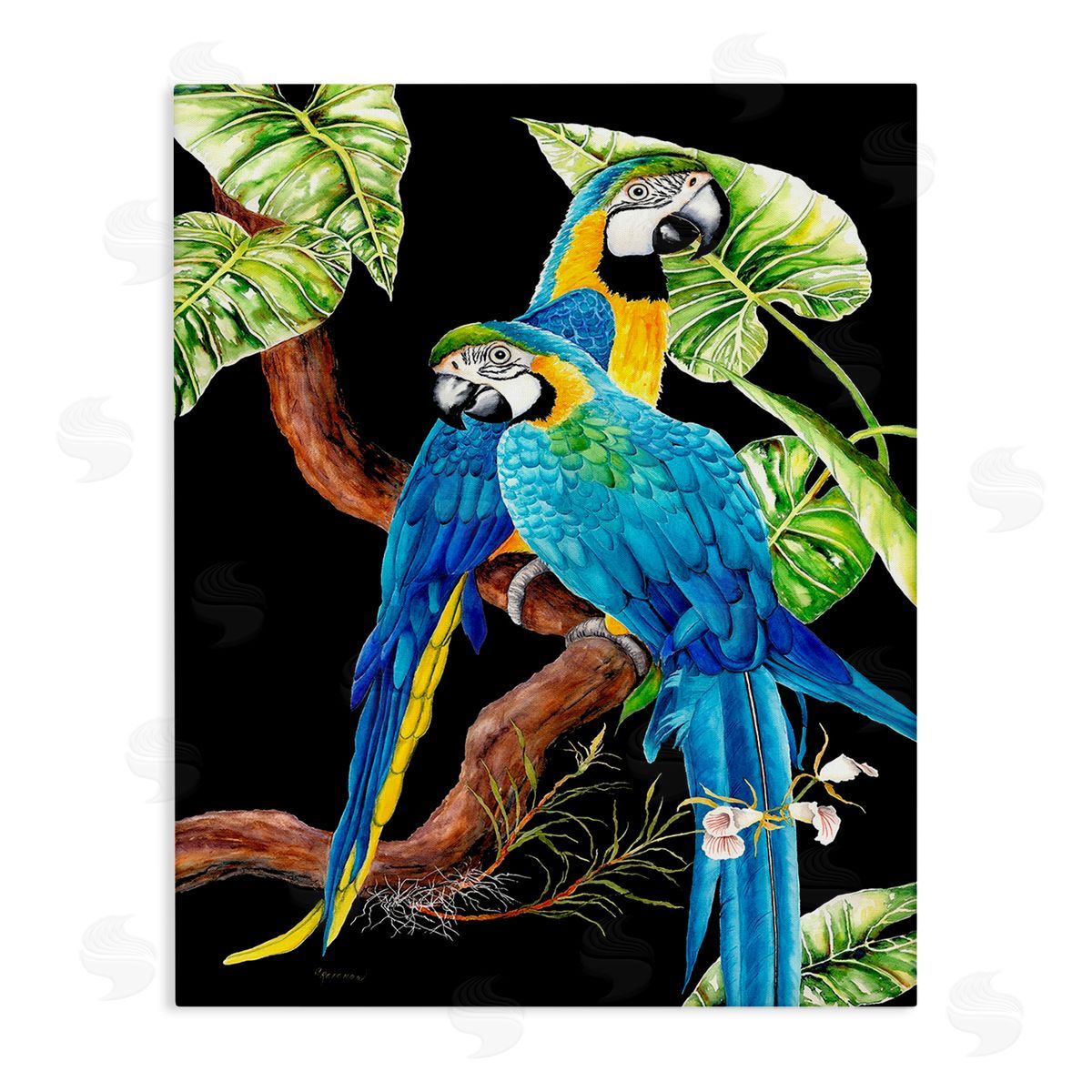 Christine Reichow Parrots Perched on Branch