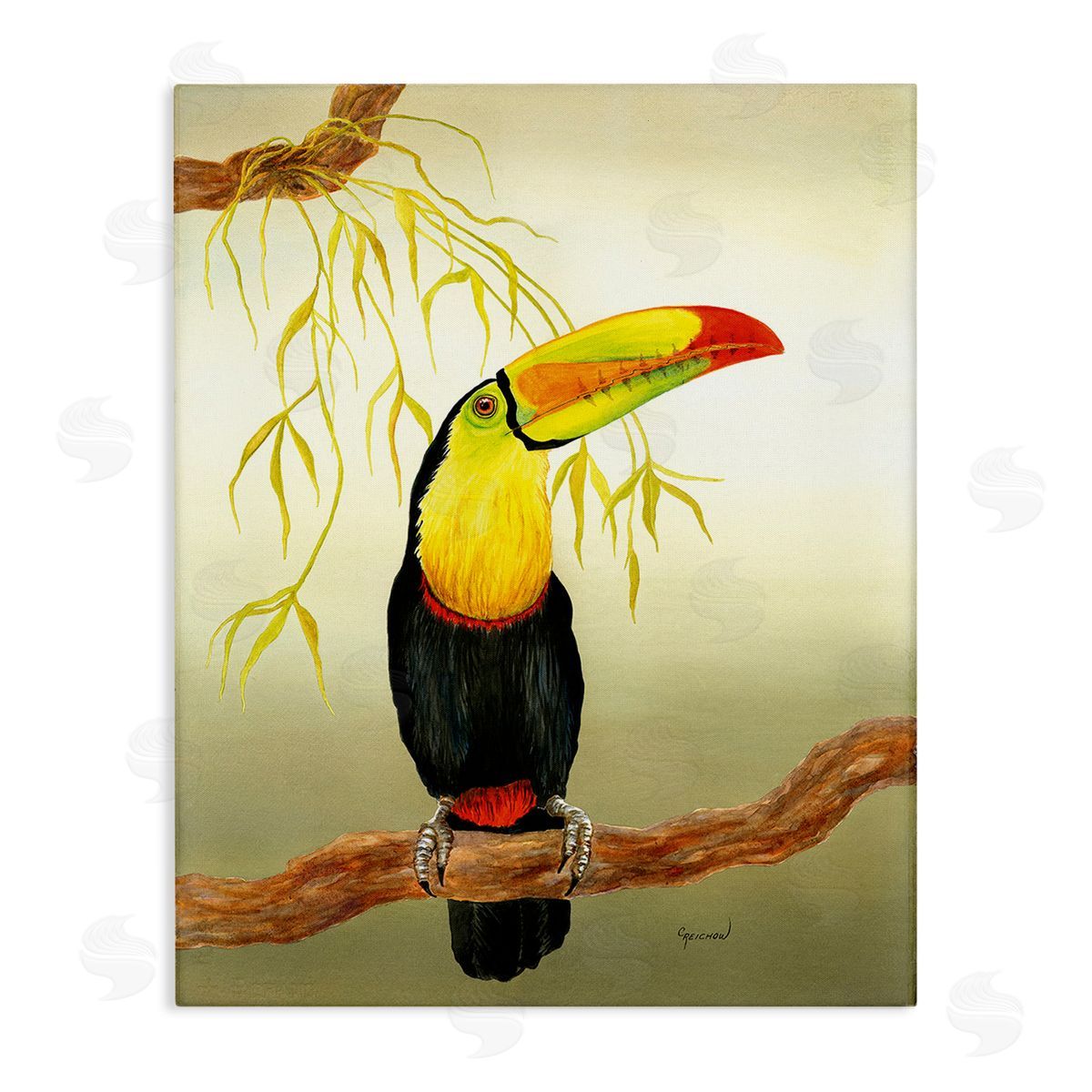 Christine Reichow Toucan on Forest Branch