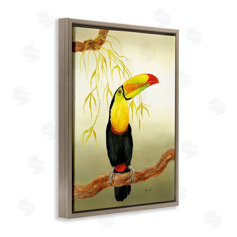Christine Reichow Toucan on Forest Branch
