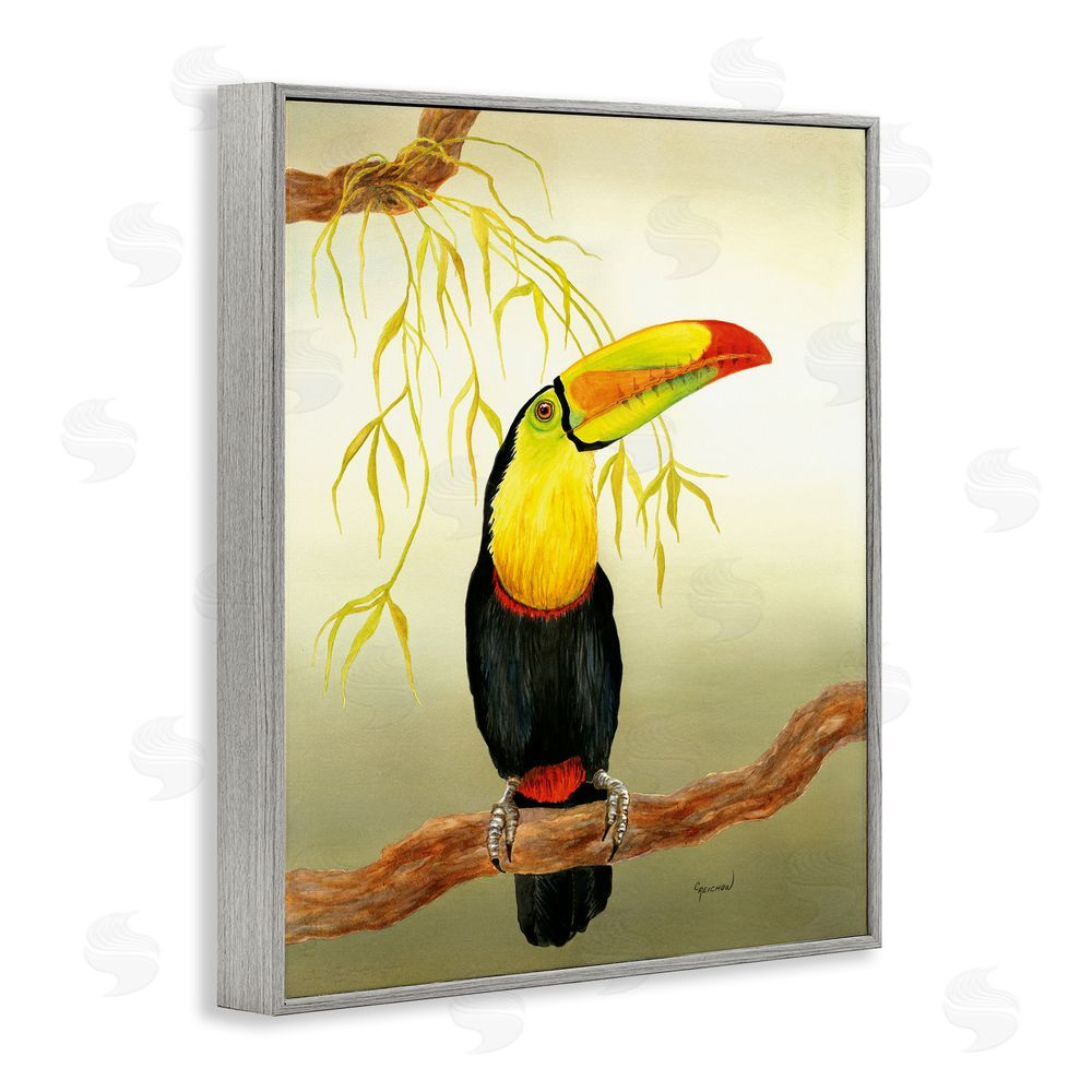 Christine Reichow Toucan on Forest Branch