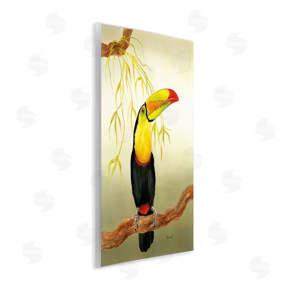 Christine Reichow Toucan on Forest Branch